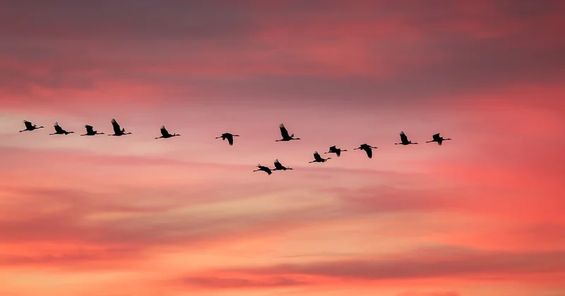 How to sequence a migration without burning out